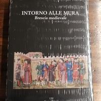 Libro Intorno alle mura di Brescia Medioevale 2014
