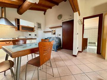 MONOLOCALE A BUDRIO