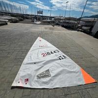 Vela Ilca 4 da allenamento