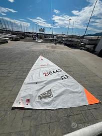 Vela Ilca 4 da allenamento