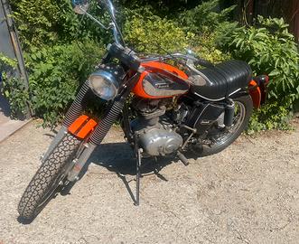 Ducati scrambler