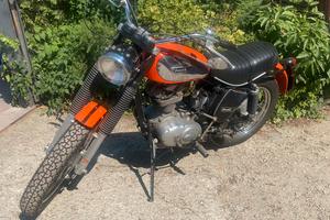 Ducati scrambler