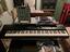 Immagine 2