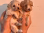 Immagine 21
