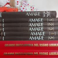 Inciclopedia amare