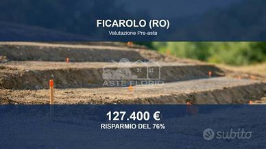 Immobile in asta di 36113 m² a Ficarolo