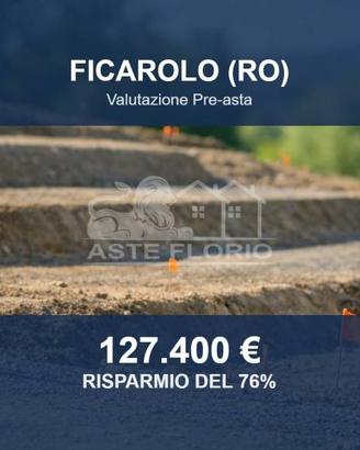 Immobile in asta di 36113 m² a Ficarolo