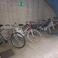 bici di qualità  bianchi e legnano