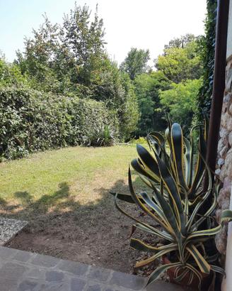 Casa vacanze a due passi dal lago