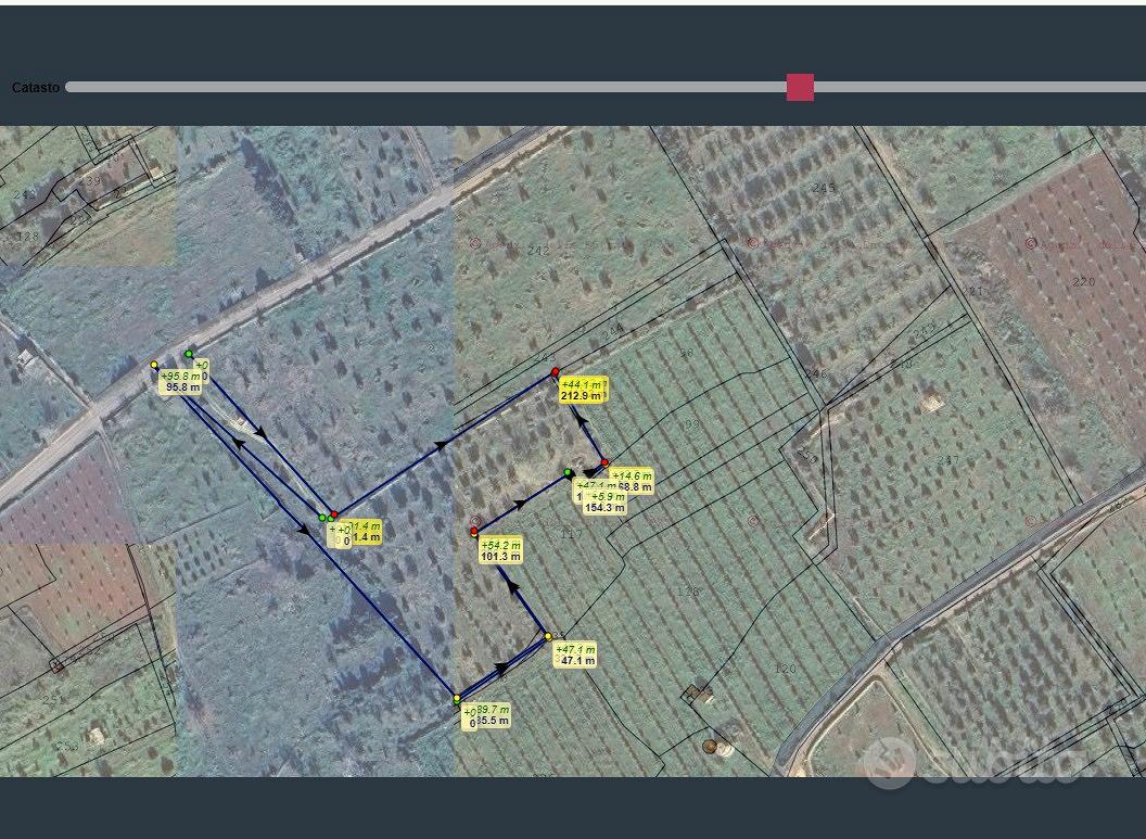 Terreno agricolo uliveto + altri alberi - Vista 3