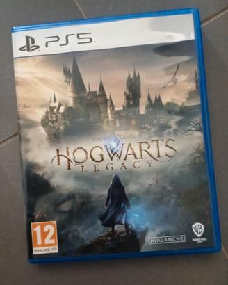 Gioco ps5 Hogwarts legacy
