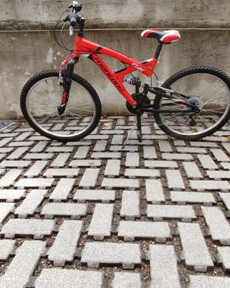 Mountain bike