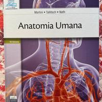 Anatomia Umana