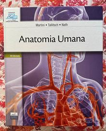 Anatomia Umana