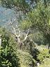 rustico-casale-di-100-m²-con-4-locali-a-sestri-l