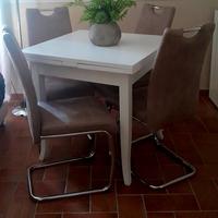 Tavolo per salone più 4 sedie
