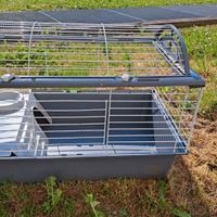 Gabbia e trasportino per conigli