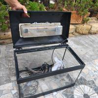 Acquario 25lt per caridine o avanotti