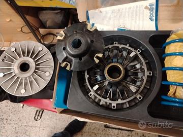 Variatore pollini t max