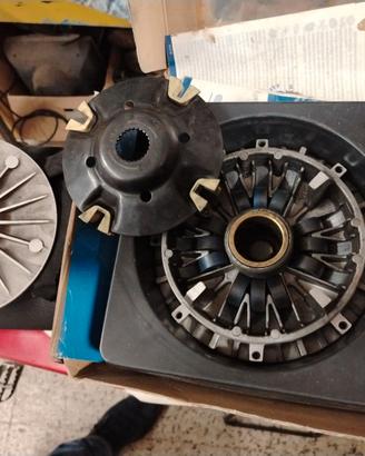 Variatore pollini t max