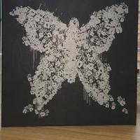 Bioshock 2 Raptur's edition