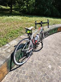 olmo bici da corsa