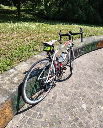 olmo bici da corsa