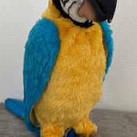 Giocattolo pappagallo