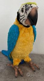 Giocattolo pappagallo