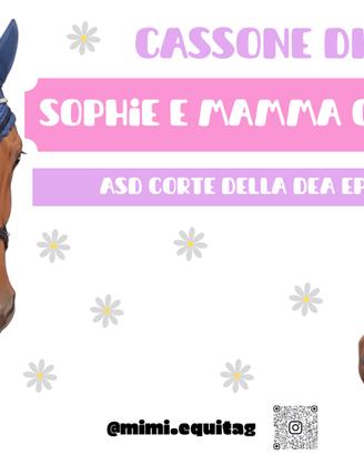 Targhe da cassone