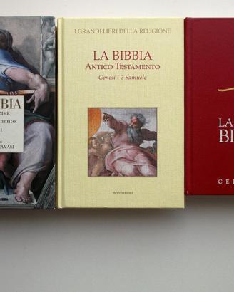 3 bibbie
