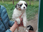 Immagine 26