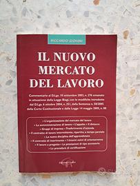 IL NUOVO MERCATO DEL LAVORO