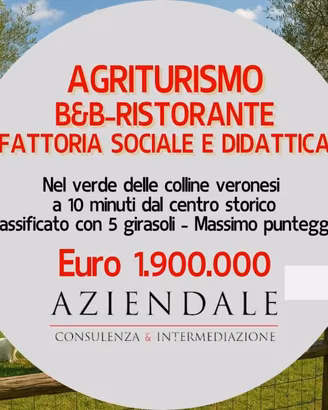 Attività / Licenza di 10000 m² a Verona