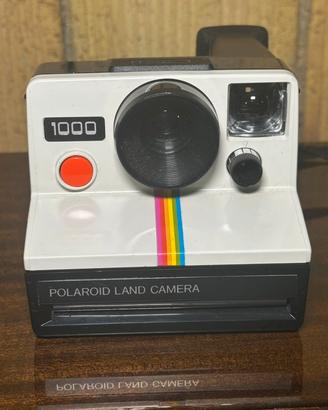 Polaroid land