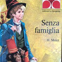 Libro Senza famiglia
