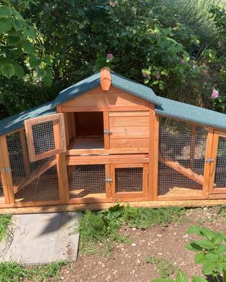 Pollaio con nido per Gallina ovaiole