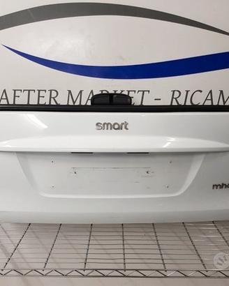Portello Baule Cofano Posteriore Smart Fortwo 451