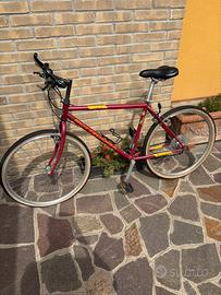 Bici Bottecchia