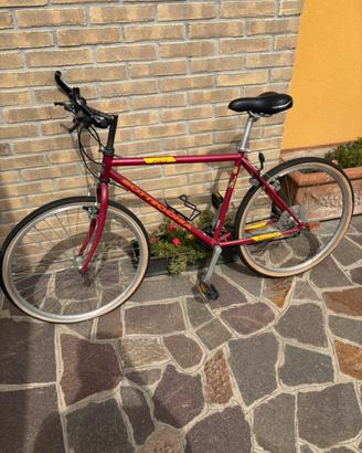 Bici Bottecchia