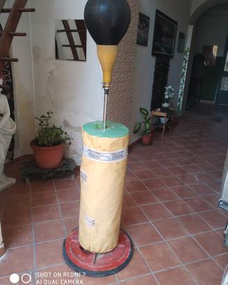 Puncing ball Carnielli