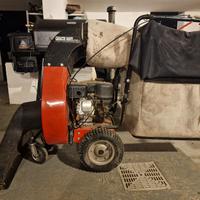 aspirafoglie professionale