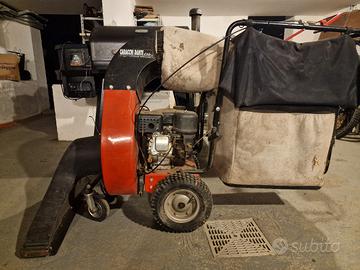 aspirafoglie professionale