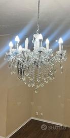 Lamoadario Florian sp12