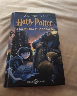 Harry Potter e la pietra filosofale 