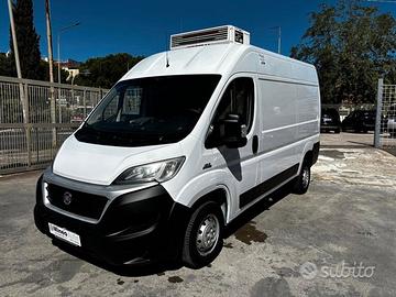FIAT DUCATO FURGONE FRIGO 0 ATP VALIDA FNAX