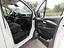 Immagine 15