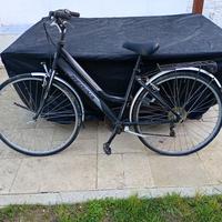 Bicicletta Regina Trekking - Modello Venezia