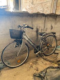 Bicicletta