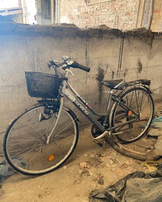 Bicicletta